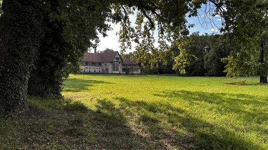 Heiraten im Park Babelsberg