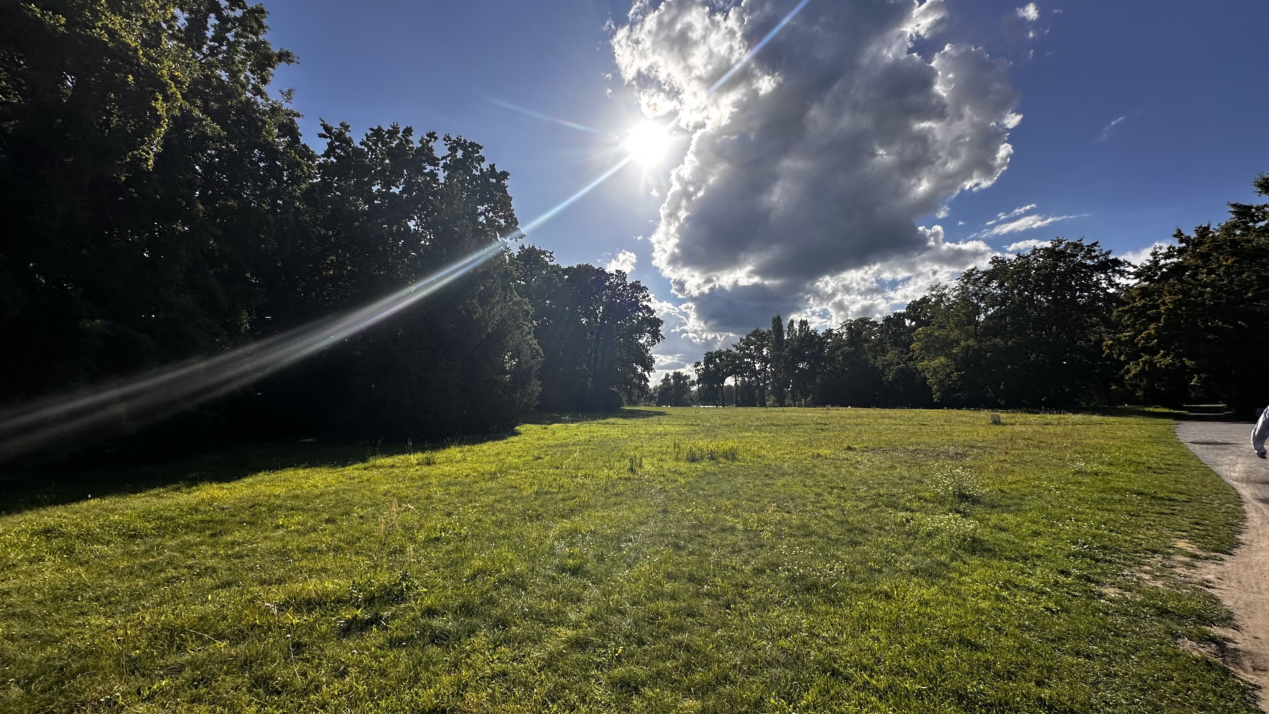 Soziale Treffpunkte – Die Parks als urbanes Wohnzimmer