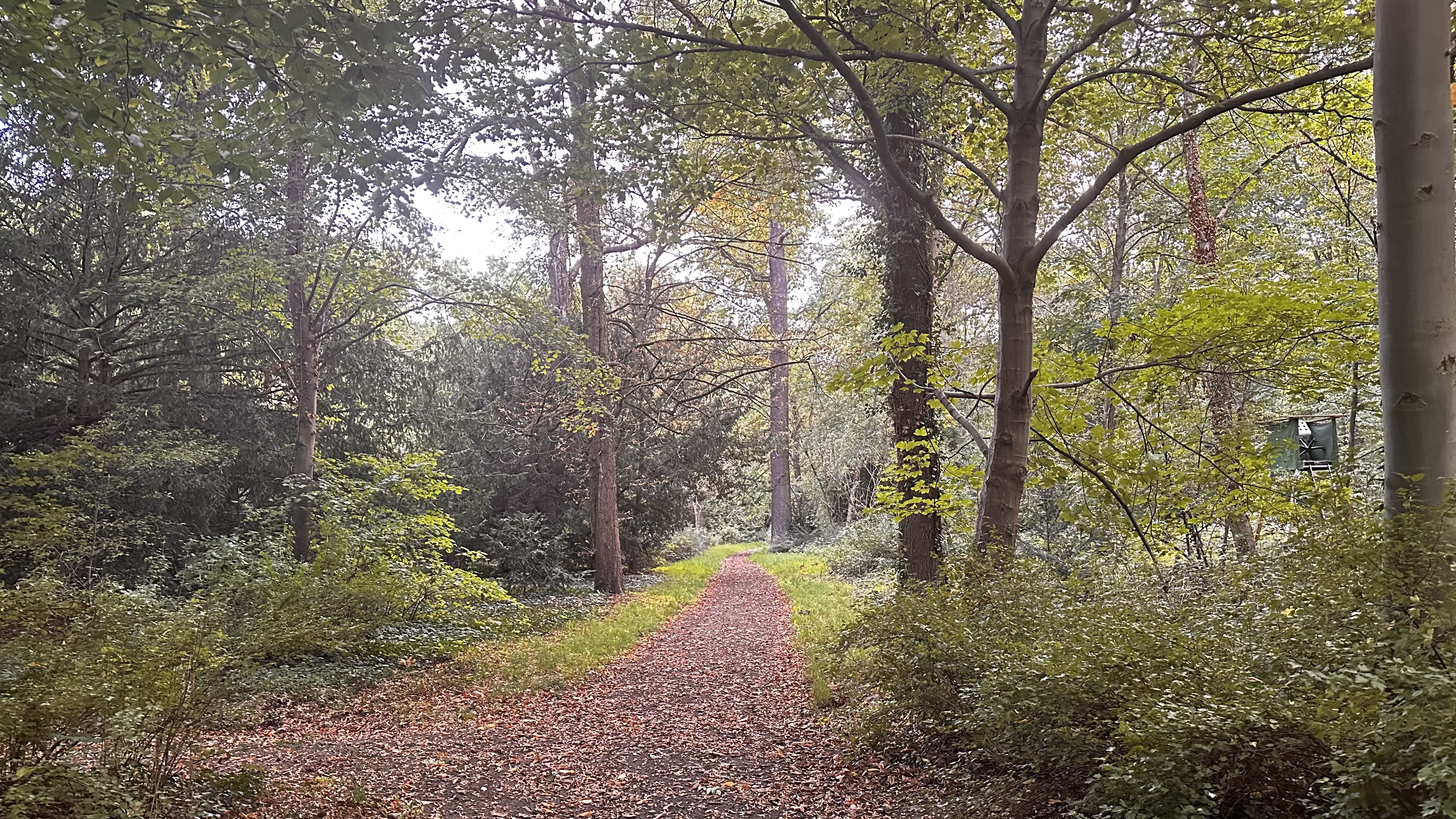 Meierei Brauhaus / Gastronomie