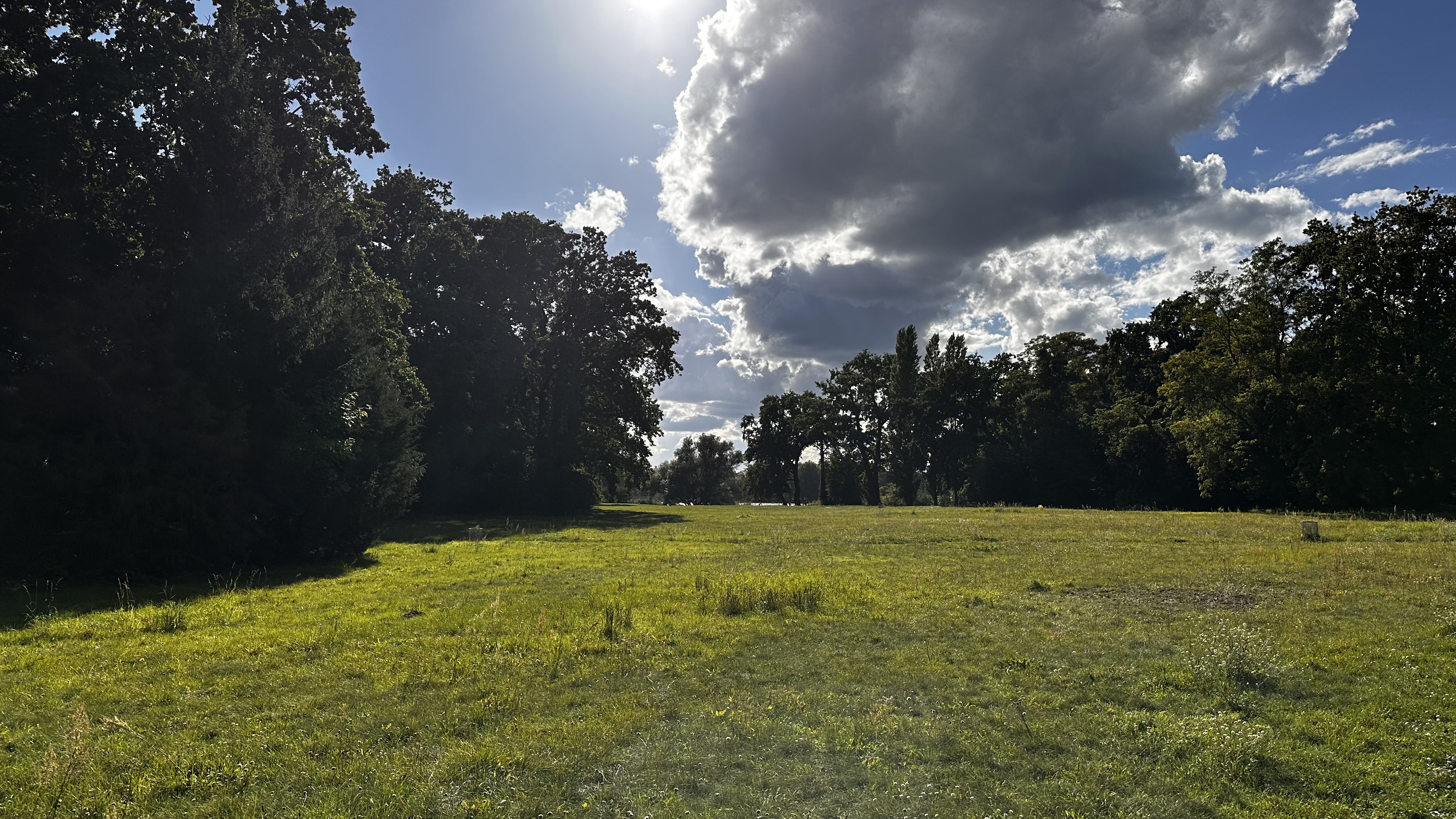 Liegewiesen im Park Babelsberg mit Blick auf die Havel
