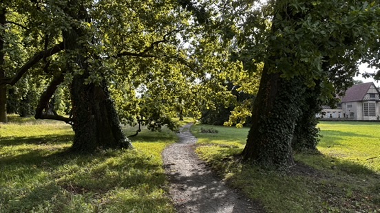 Natur & Wege – Spazierwege & Liegewiesen im Park Babelsberg